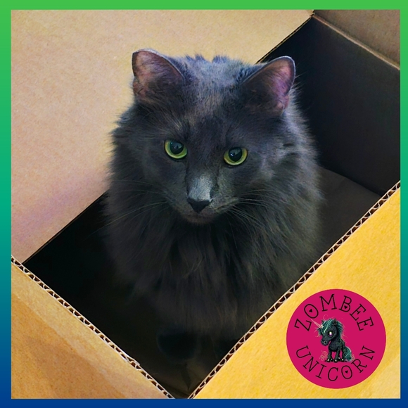 😻Gizmo & Smoke💘 - Picture 3 of 15